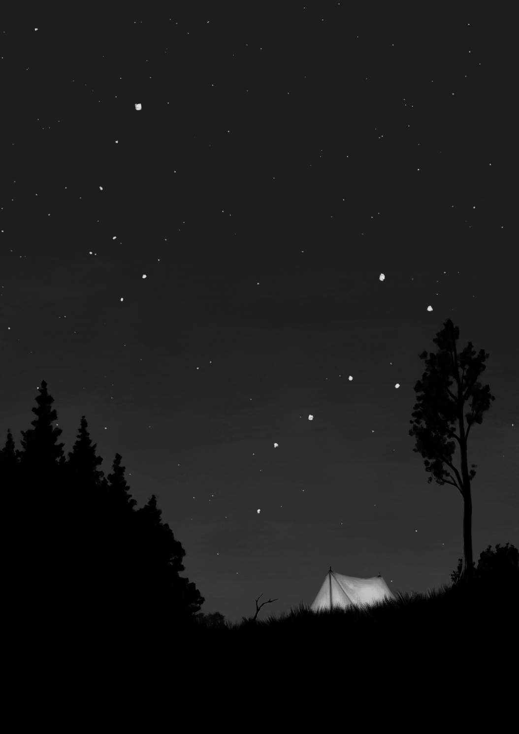 Friluftsliv in de lage landen: underneath a starry sky