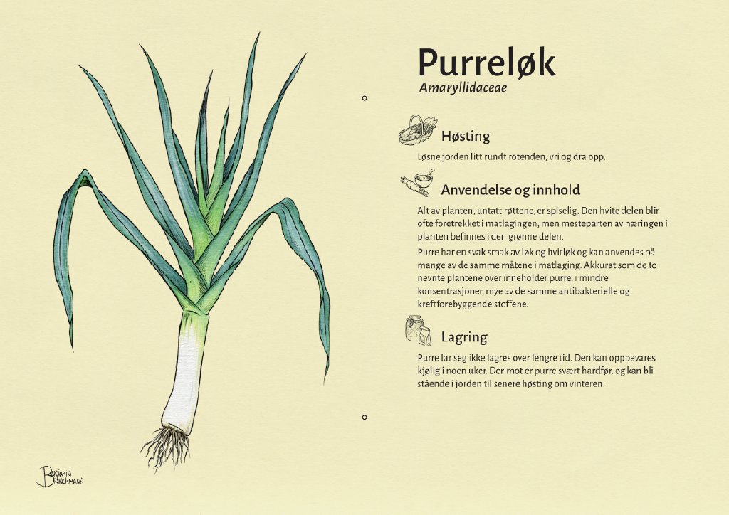 purreløk.jpg